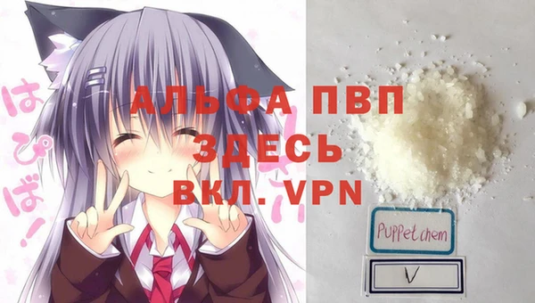 дмт Алексин